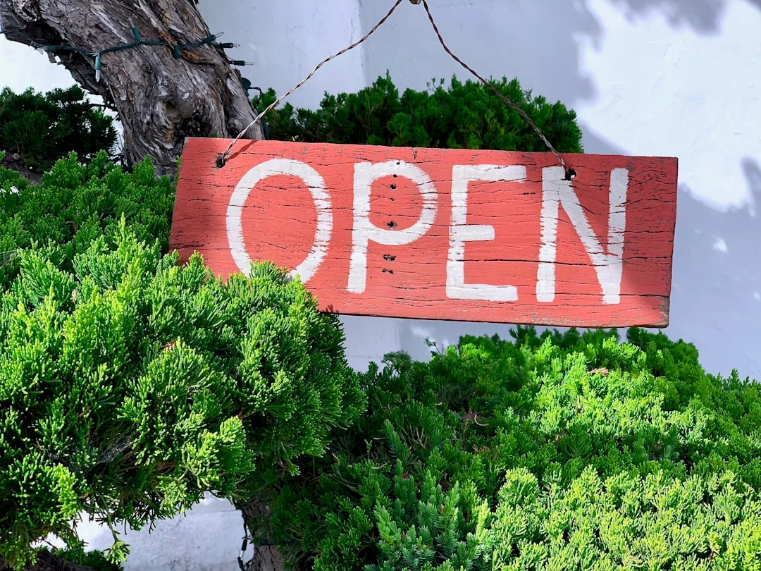 Eccellere su Saleor: La Superiore Piattaforma Ecommerce di Shoprocket