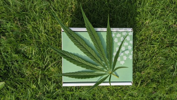 Shoprocket 与 Sam Cart：选择合适的电子商务解决方案