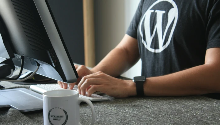 The Effortless Way to Add ecommerce to Your WordPress Site