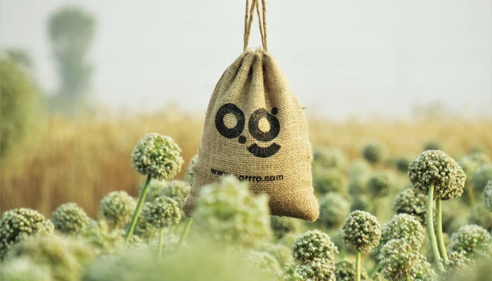 Ontdek Shoprocket: De Ultieme High-Conversion OsCommerce Alternatief