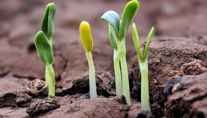 29 Experts Reveal Their Top 3 Recommendations to Grow Small Businesses