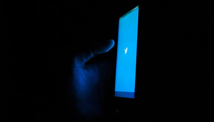 Pros and Cons of Using Facebook &amp; Twitter Paid Vs Organic Advertising