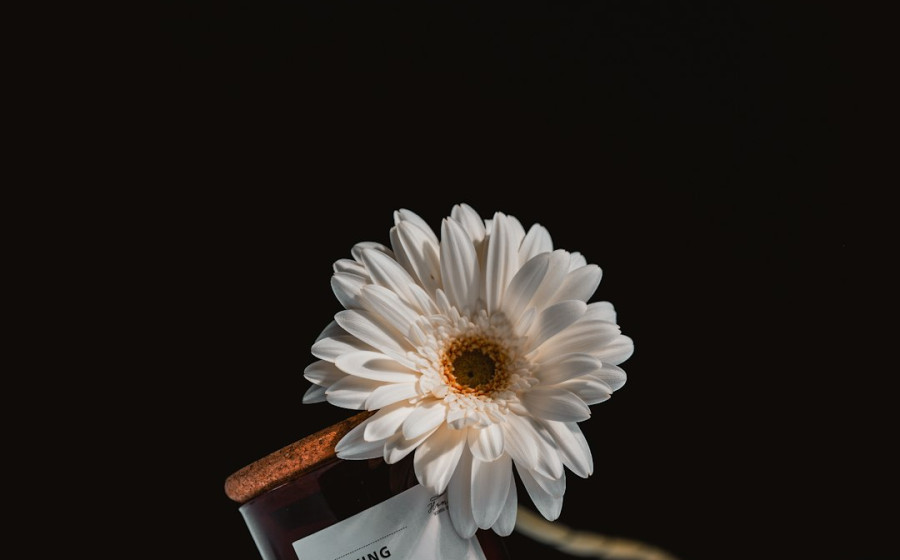 快速、高效、成功：Shoprocket的电商方法